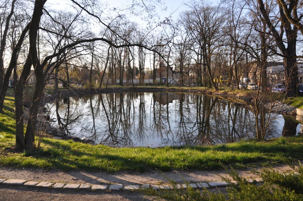 Gardenoasisberlinairport Lägenhet Schönefeld Exteriör bild